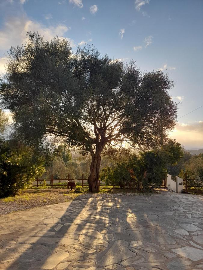 Onifai Agriturismo Palas De Serra Country Resort מראה חיצוני תמונה