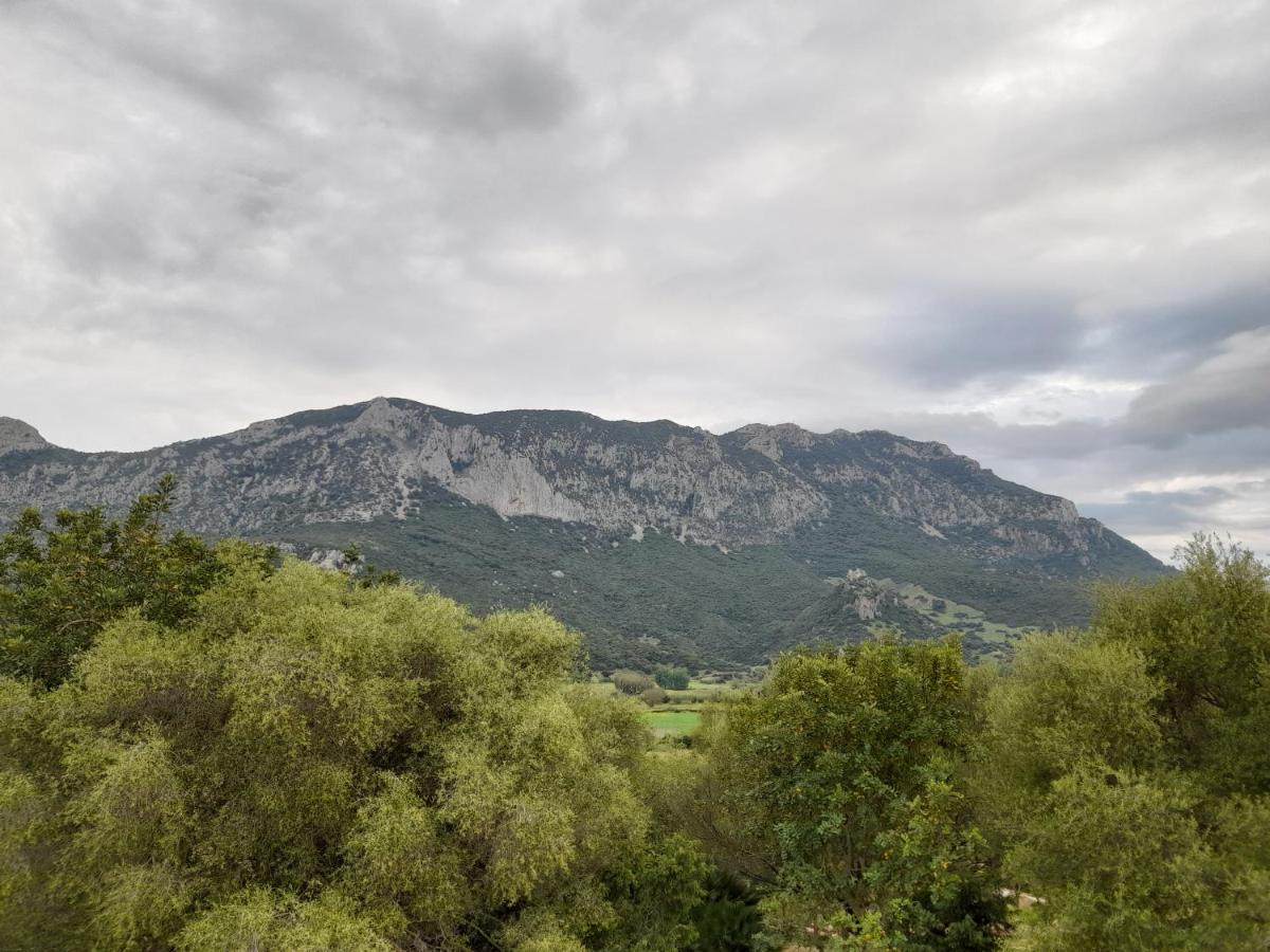 Onifai Agriturismo Palas De Serra Country Resort מראה חיצוני תמונה