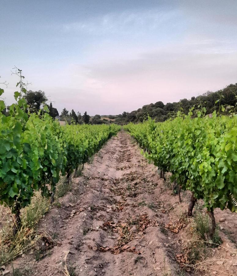 Onifai Agriturismo Palas De Serra Country Resort מראה חיצוני תמונה