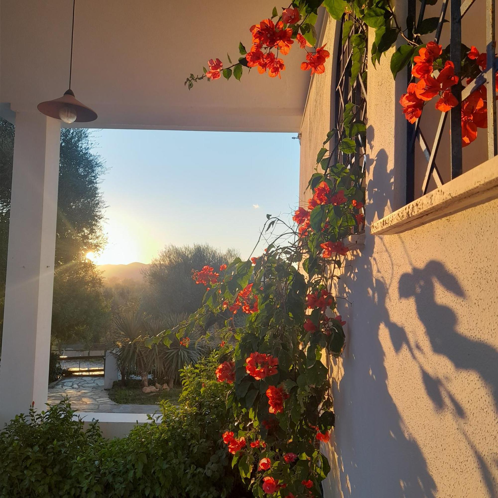 Onifai Agriturismo Palas De Serra Country Resort מראה חיצוני תמונה