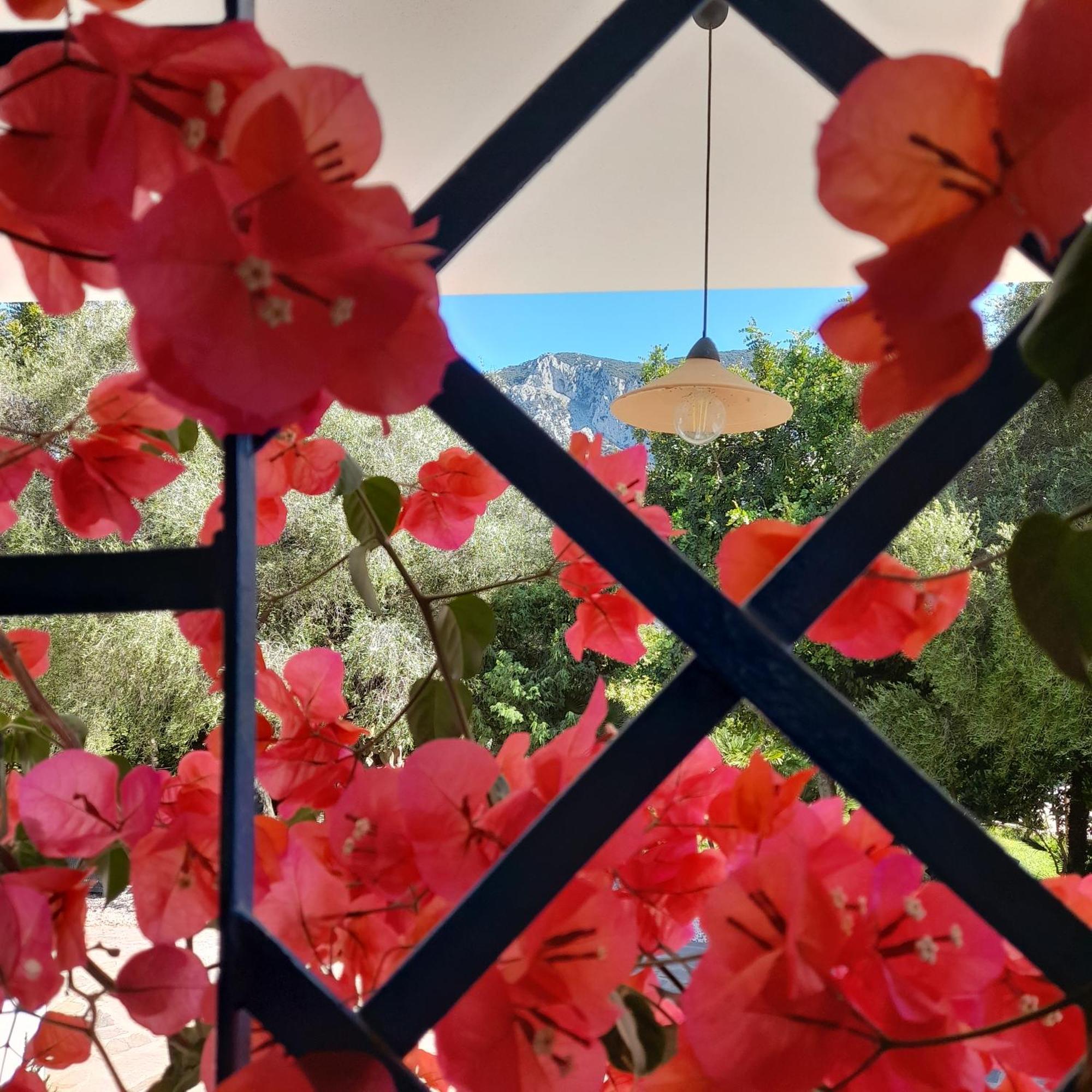 Onifai Agriturismo Palas De Serra Country Resort מראה חיצוני תמונה